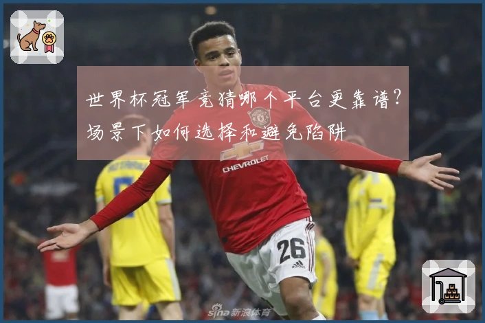 世界杯冠军竞猜哪个平台更靠谱？场景下如何选择和避免陷阱