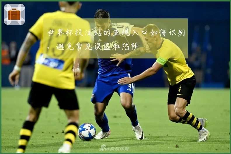 世界杯投注站的正规入口如何识别，避免常见误区和陷阱
