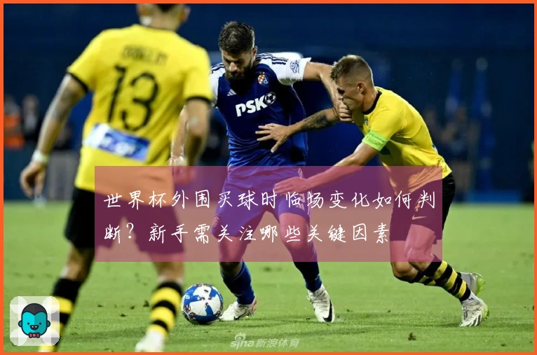 世界杯外围买球时临场变化如何判断？新手需关注哪些关键因素